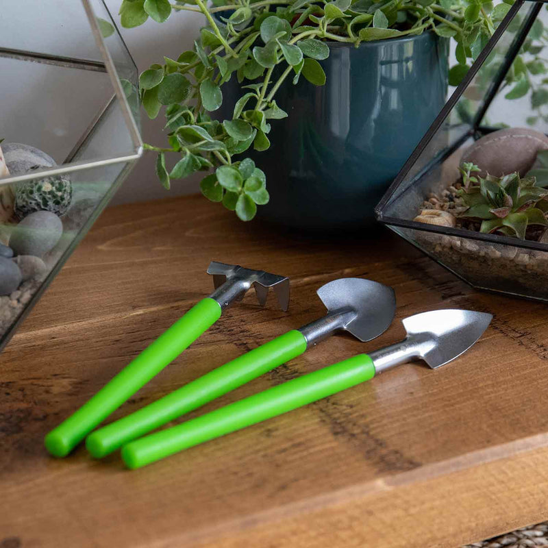 Houseplant & Terrarium Tool Set