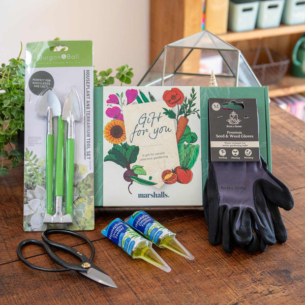 The Houseplant Lovers Gift Box