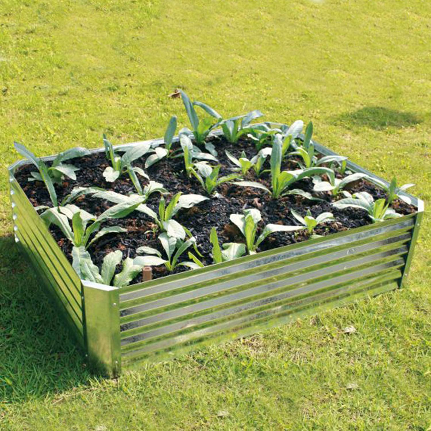 Galvanised Raised Bed Frame Rectangle Buy Raised Beds Online Raised
