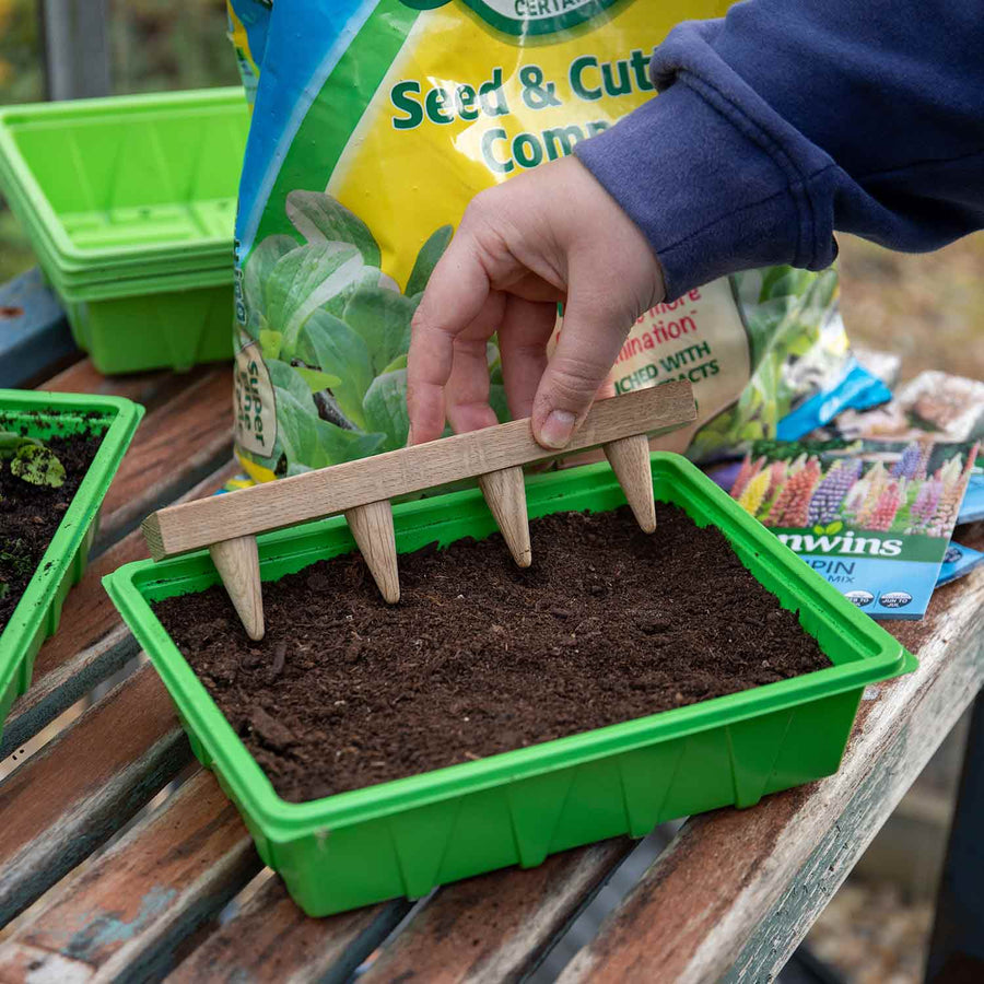 Seed Tray Dibber Buy Seed Tray Dibber Online Seed Tray Dibber for Sale Marshalls Garden