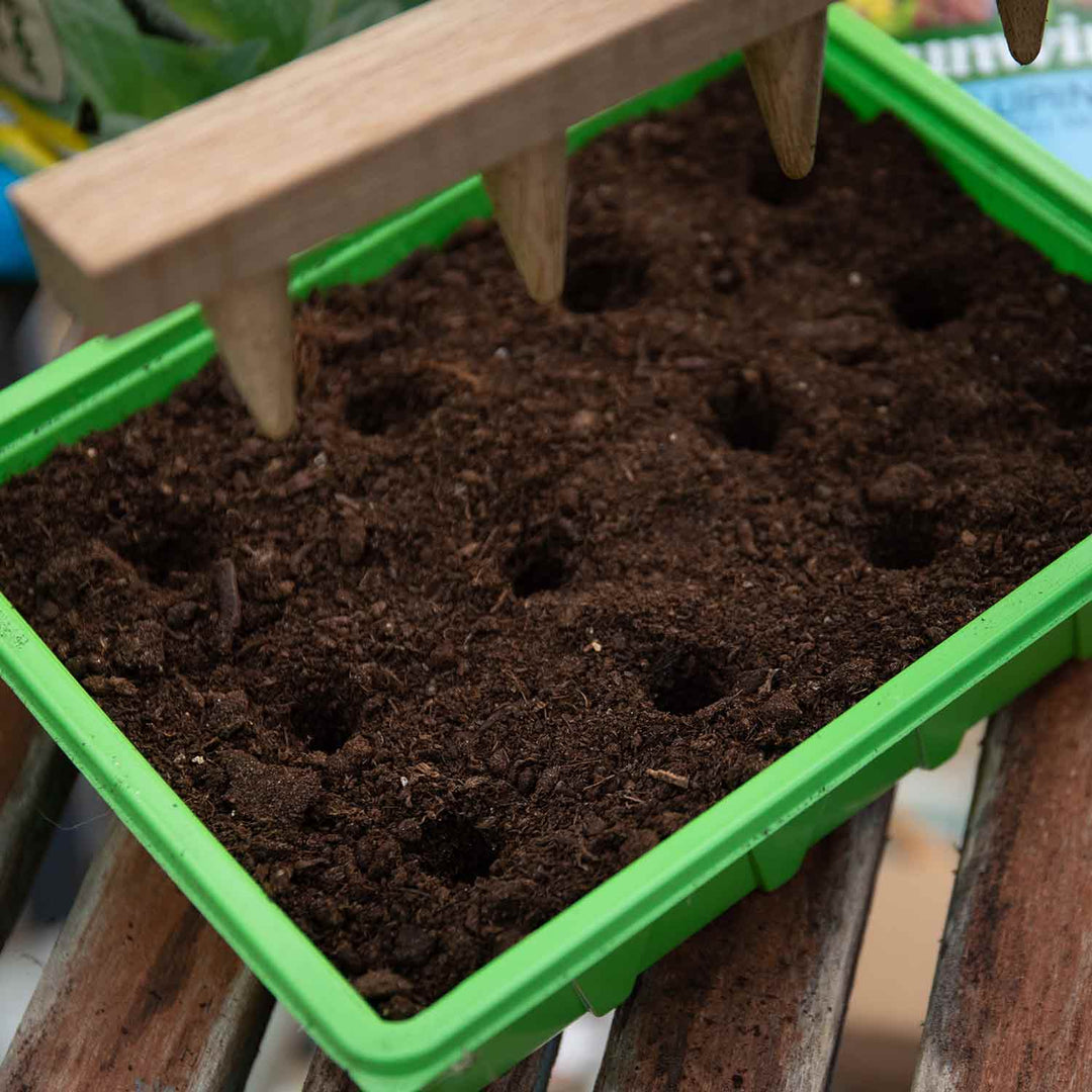 Seed Tray Dibber Buy Seed Tray Dibber Online Seed Tray Dibber for Sale Marshalls Garden