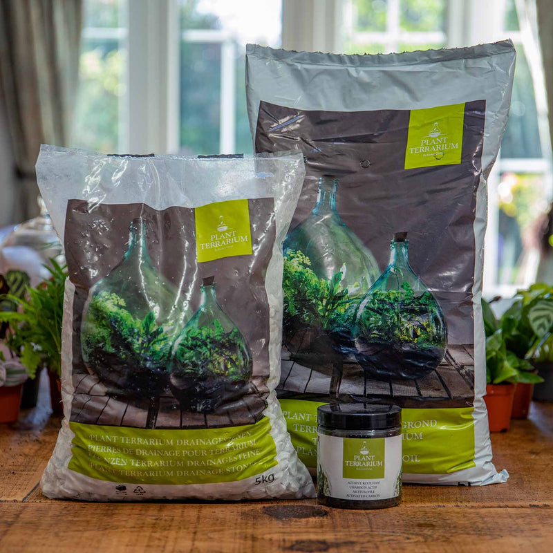 Types of soil suitable for terrariums