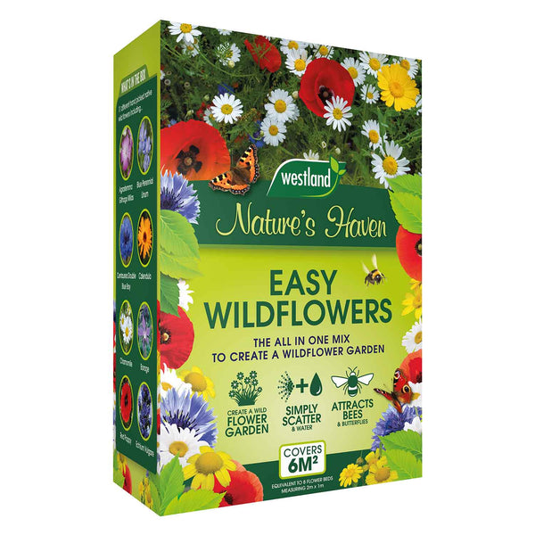 Easy Wildflower Seeds