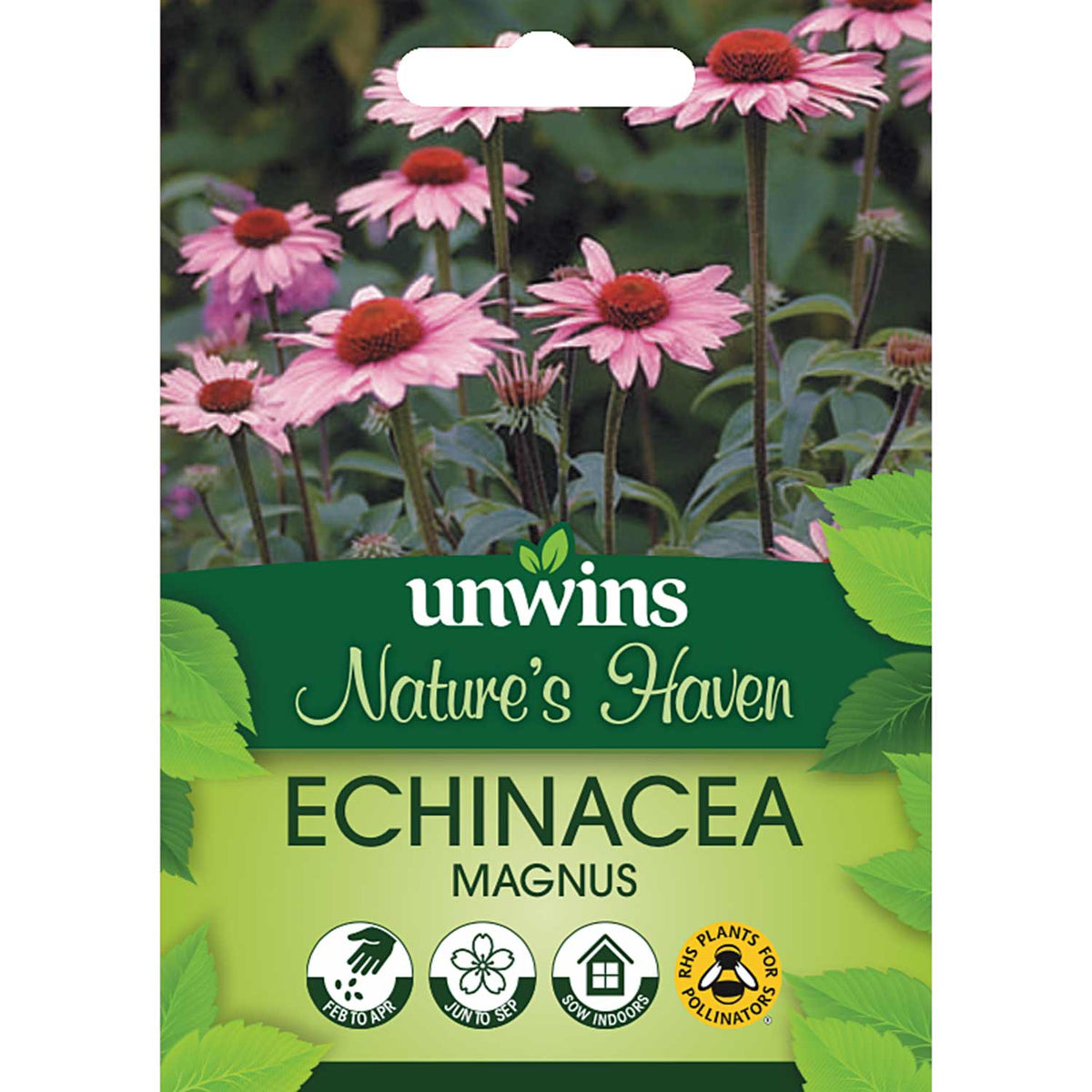 Echinacea Seeds 'Magnus' | Buy Echinacea Online | Echinacea for Sale ...