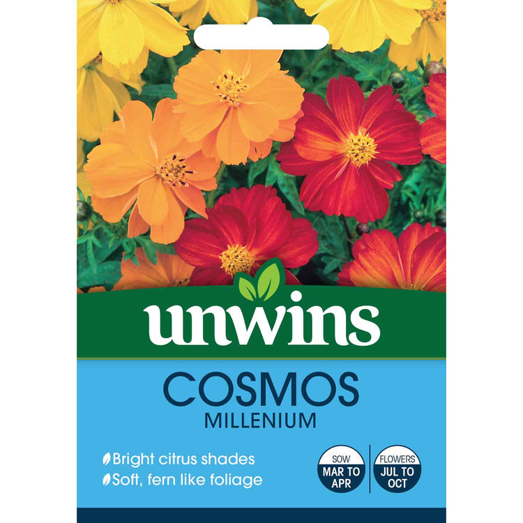 Cosmos Seeds 'Millennium'