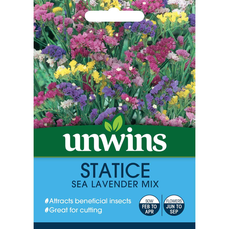 sea lavender seeds Statice Seeds 'Sea Lavender Mix'
