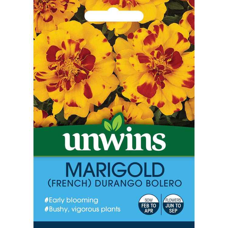 durango marigold seeds Marigold Seeds 'French Durango Bolero'