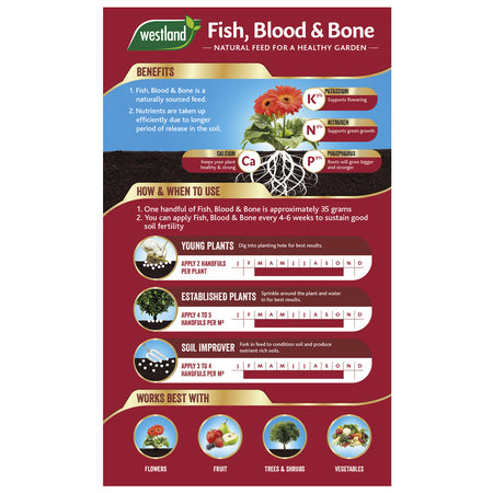 Westland Growmore 4kg + Fish Blood & Bone 4kg - Duo Pack