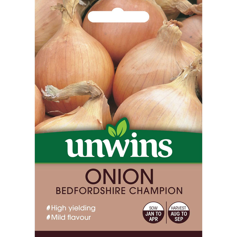 Onion Seeds 'Bedfordshire Champion'
