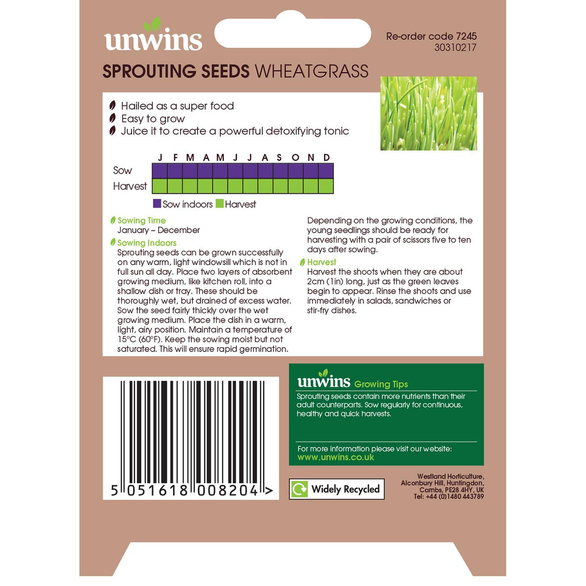 Wheatgrass Seeds Buy Wheatgrass Seeds Online Wheatgrass Seeds for
