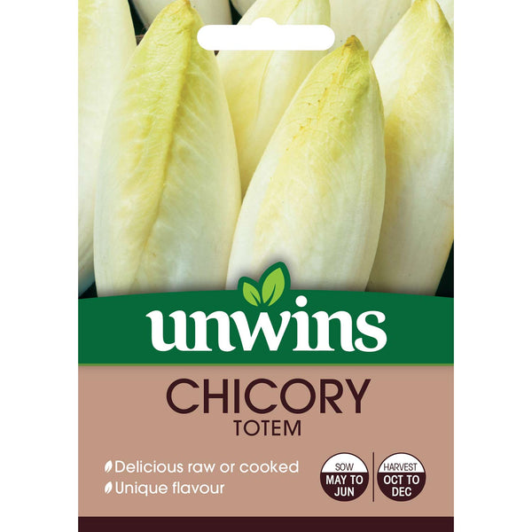 Chicory Seeds 'Totem'