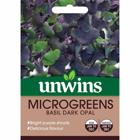Microgreens Seeds Basil 'Dark Opal'