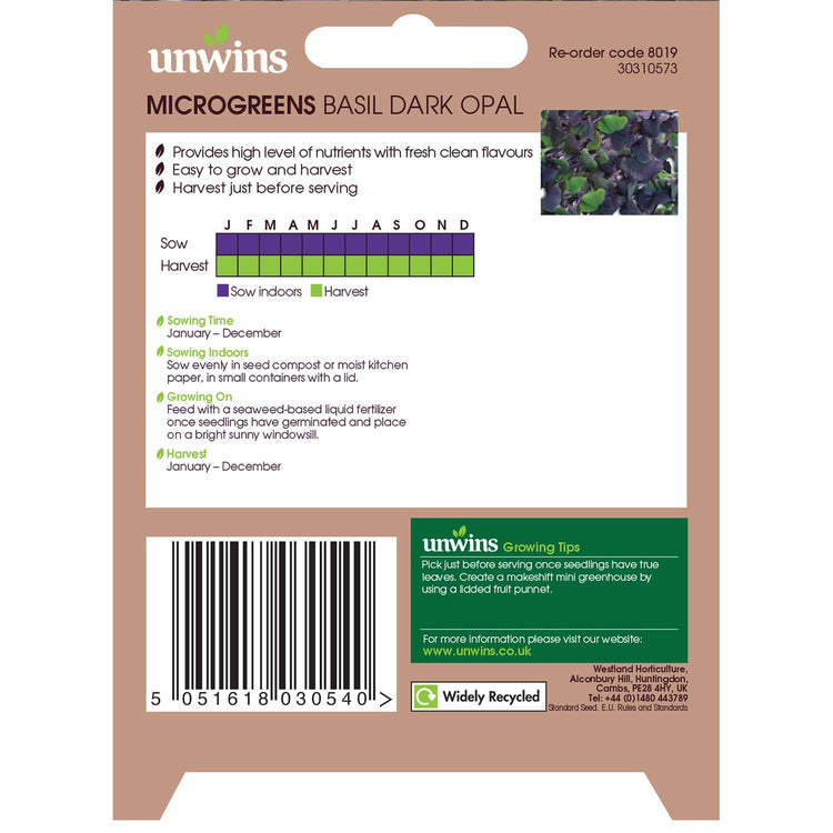 Microgreens Seeds Basil 'Dark Opal'