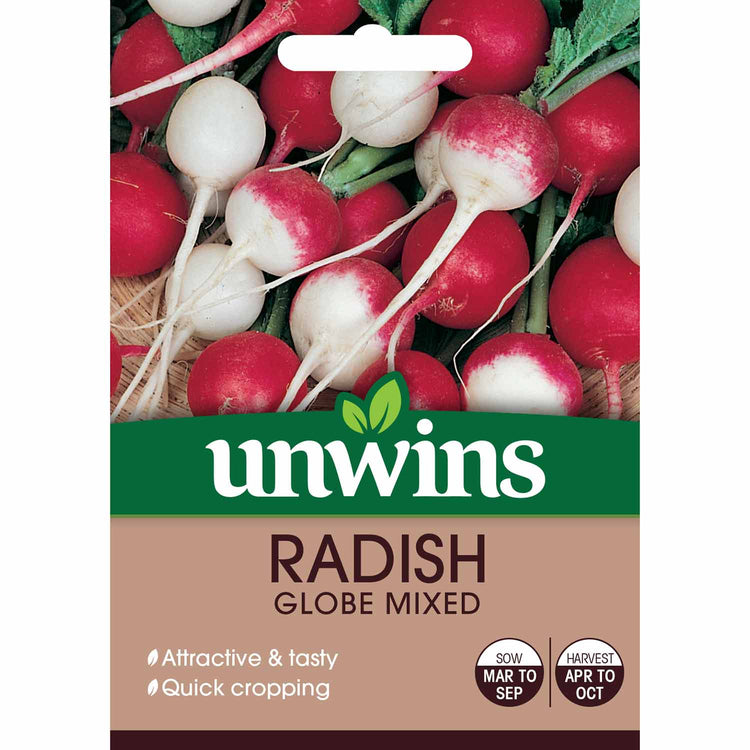 Radish Seeds 'Globe Varieties Mix'