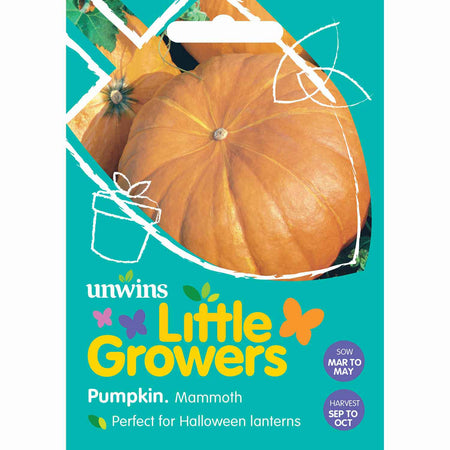 Pumpkin Seeds 'Mammoth'