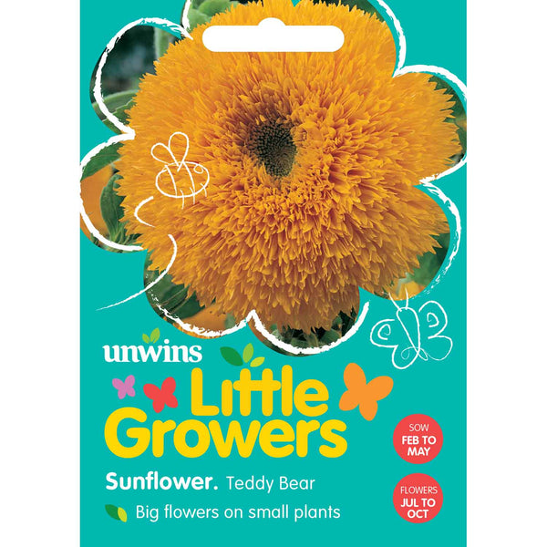 Sunflower Seeds 'Teddy Bear'