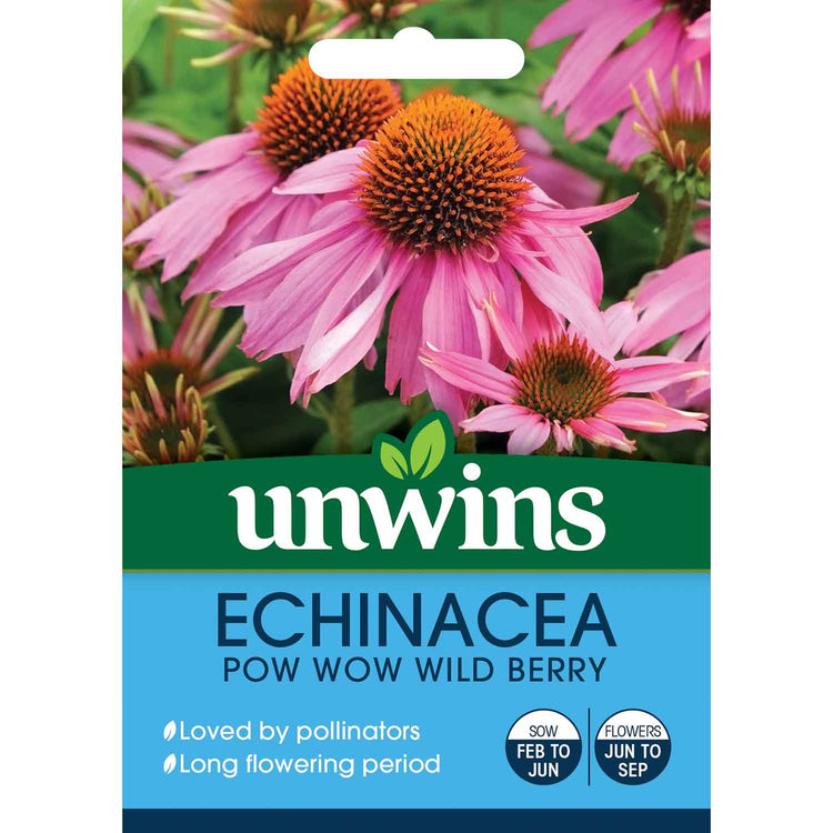 pow wow wild berry echinacea seeds Echinacea Seeds 'Pow Wow Wild Berry'
