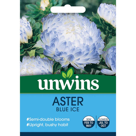 Aster Seeds 'Blue Ice'
