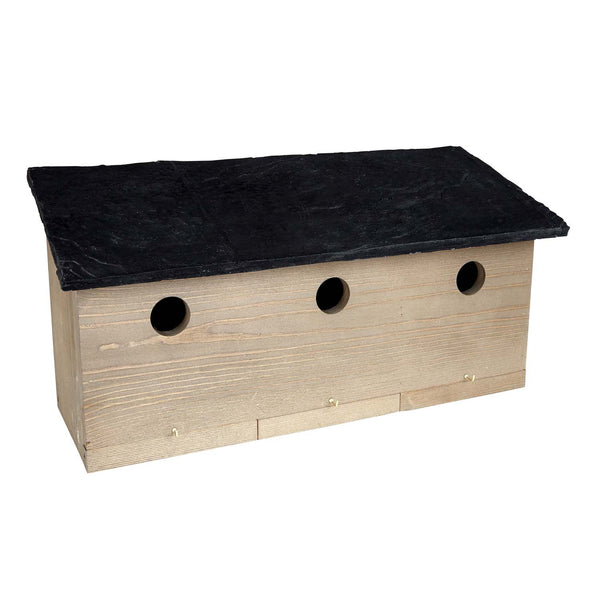 Sparrow Colony Nest Box