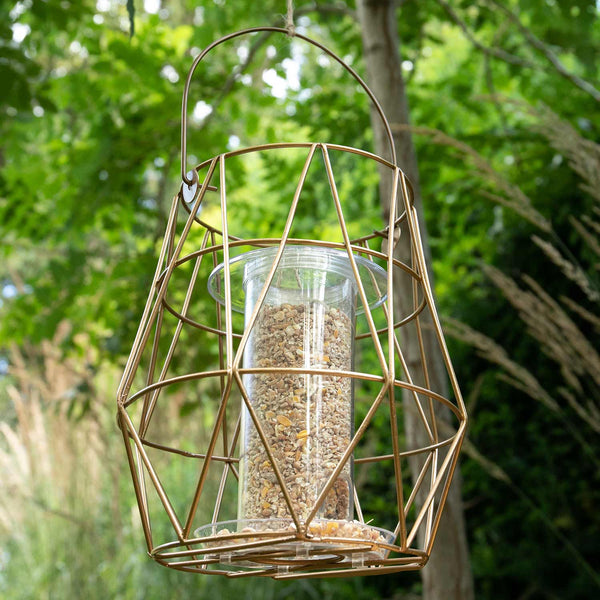 Gardman Aura Small Bird Feeder