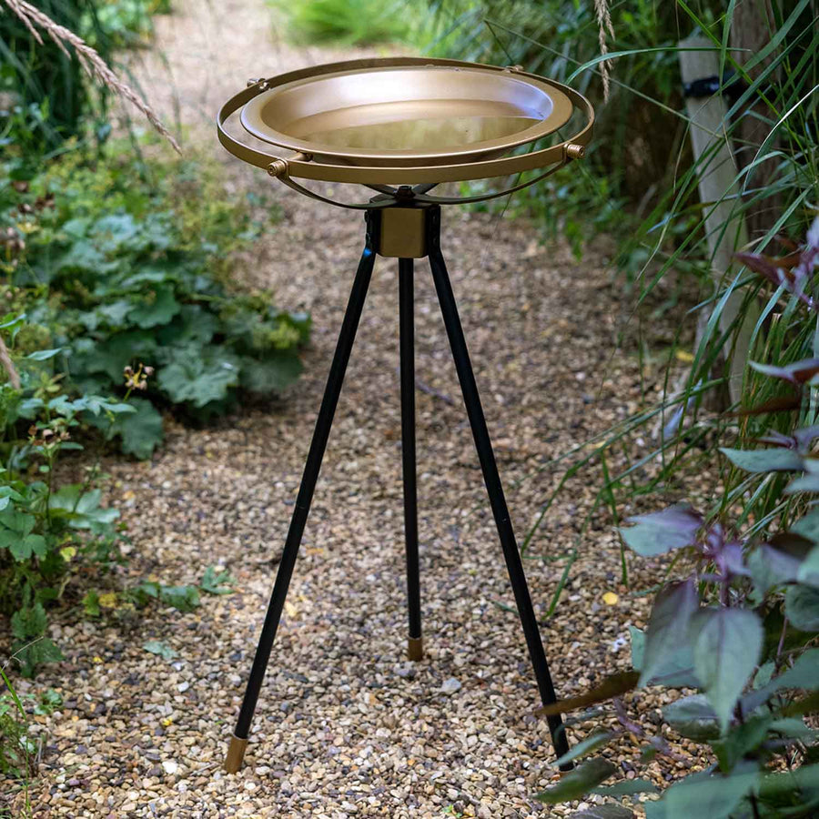 Gardman Aura Bird Bath Buy Bird Baths Online Bird Baths for Sale