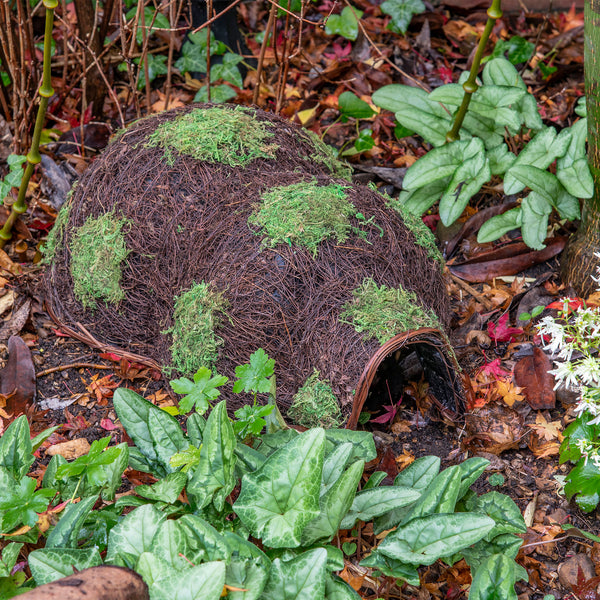 Gardman Woven Hedgehog House