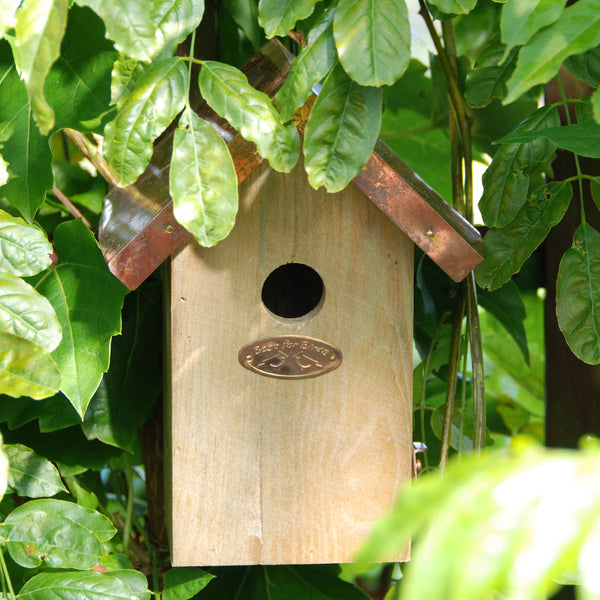 Wren Box With Copper Roof