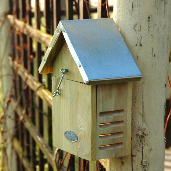 Ladybird House