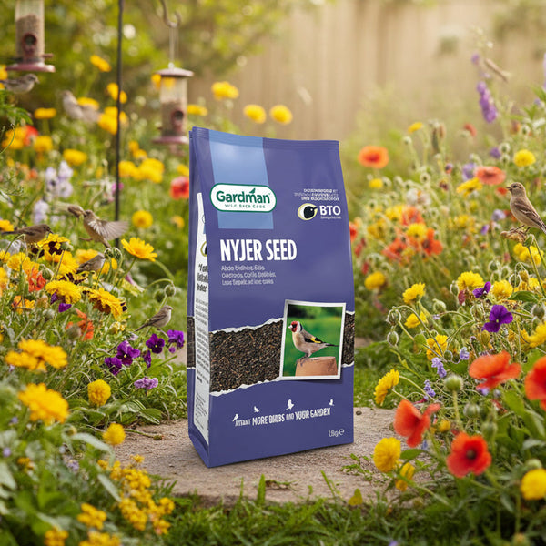 Gardman Nyjer Seed 1.8kg Triple Pack