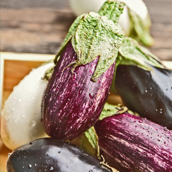 Aubergine Seeds 'Patio Mix'