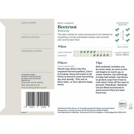 Beetroot Seeds 'Boltardy'