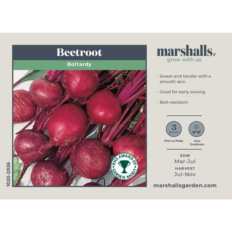 Beetroot Seeds 'Boltardy'