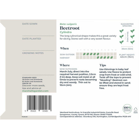 Beetroot Seeds 'Cylindra'