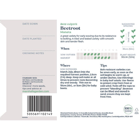 Beetroot Seeds 'Moneta'