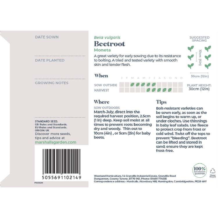 Beetroot Seeds 'Moneta'