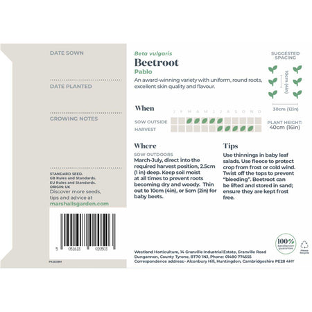 Beetroot Seeds 'Pablo'