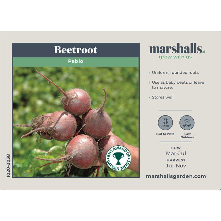 Beetroot Seeds 'Pablo'