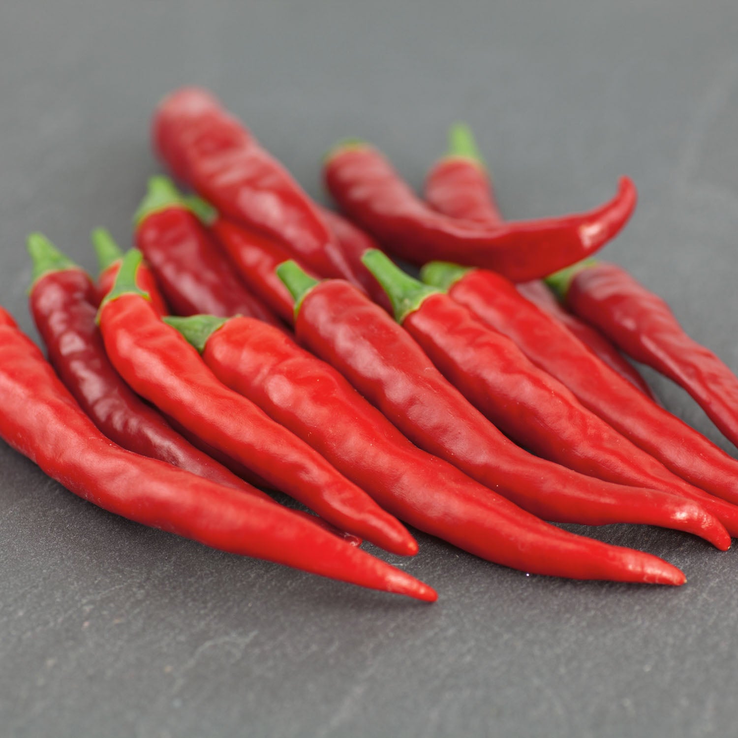 Chilli Pepper Seeds 'Tokyo Hot' | Buy Chilli Pepper Seeds Online ...