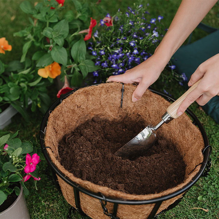 Westland Container & Basket Planting Mix 50L Twin Pack Buy Container & Basket Planting Mix