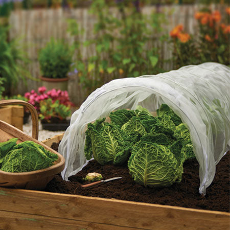 Grow It Mesh Grow Tunnel