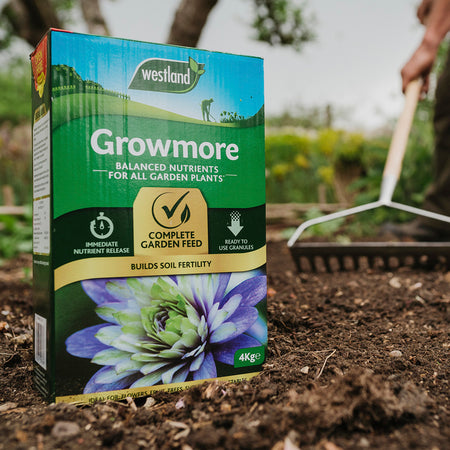 Westland Growmore 4kg + Fish Blood & Bone 4kg - Duo Pack