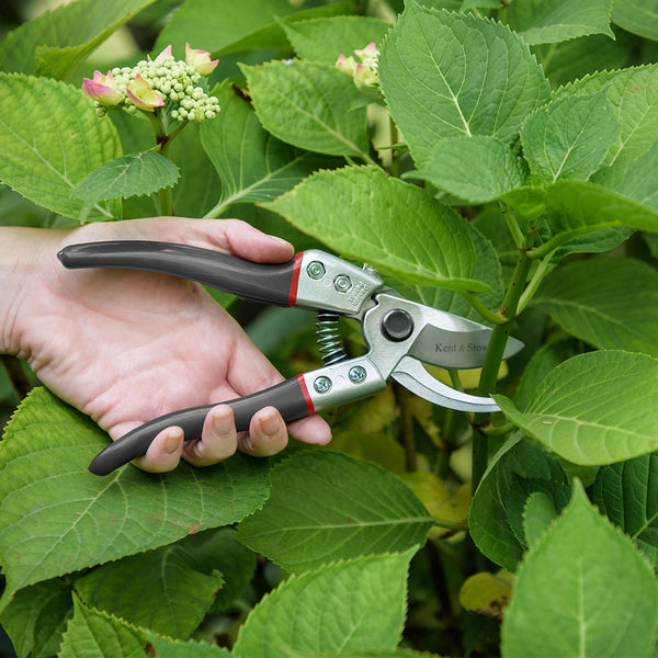 Kent & Stowe Left Handed Bypass Secateurs