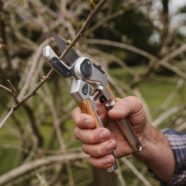 Kent & Stowe Eversharp Anvil Secateurs