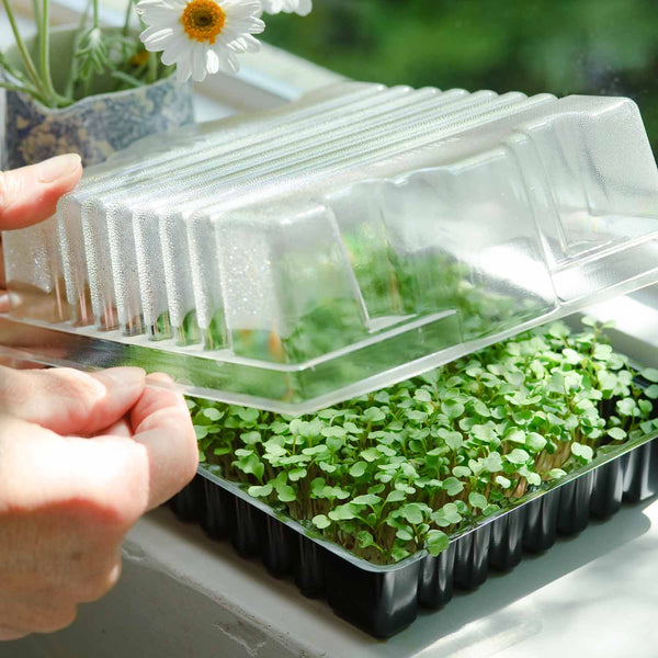 Micro Veg Gro-Tray Set