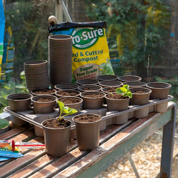 Growing On Pots 200 x 9cm with 10 Carry Trays