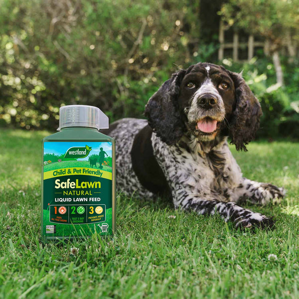 Westland Safelawn Liquid Lawn Feed