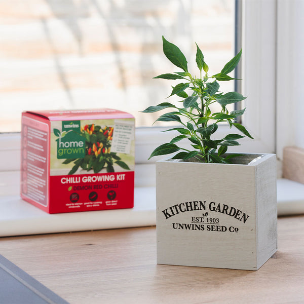 Unwins Chilli Growing Kit