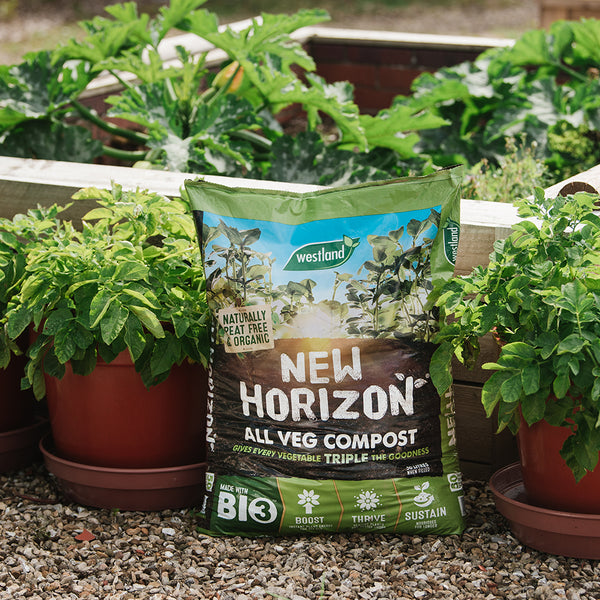 New Horizon All Veg Compost