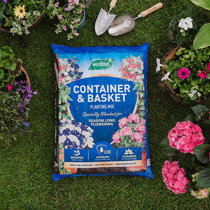 Westland Container & Basket Planting Mix 50L Twin Pack Buy Container & Basket Planting Mix