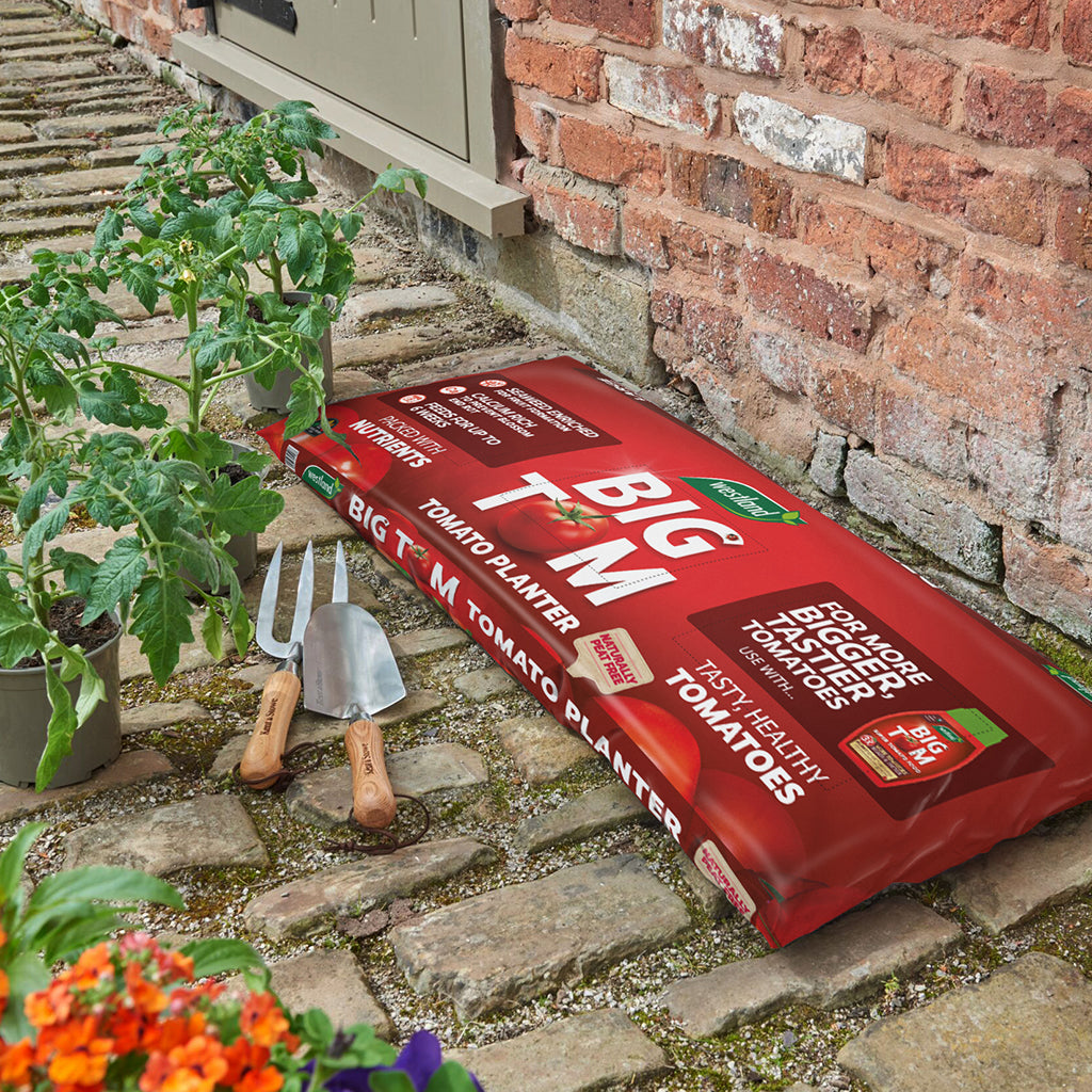 Big Tom Tomato Planter 55L 